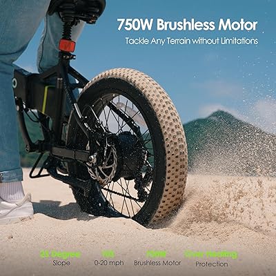 Oraimo Folding Electric Bike for Adults, 750W Brushless Motor(Peak 1000W),  48V 12Ah Hidden Battery Up to 50 Miles, 3.5H Fast Charge, 20 Fat Tire