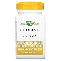 Natures Way 500Mg 100 Tb Choline, 100 CT