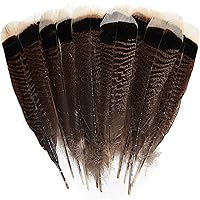 THARAHT 24pcs Natural Wild Turkey Tails Feathers Quill Bulk 6-8inch 15-20cm for DIY Crafts Project Collection Wedding Decoration Wild Turkey Tails Feather