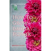 HOW TO GROW DAHLIA FLOWER : Beginners Guide To Growing, Caring and Harvesting Dahlia at Home and in The Garden HOW TO GROW DAHLIA FLOWER : Beginners Guide To Growing, Caring and Harvesting Dahlia at Home and in The Garden Kindle Paperback