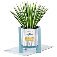 Hallmark Paper Wonder Pop Up Card (Potted Spider Plant) for Mother's Day, Nures Day, Admin Professional Day, Any Occasion