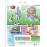 3B Scientific VR1714L Glossy UV Resistant Laminated Paper Headaches Anatomical Chart, Poster Size 20