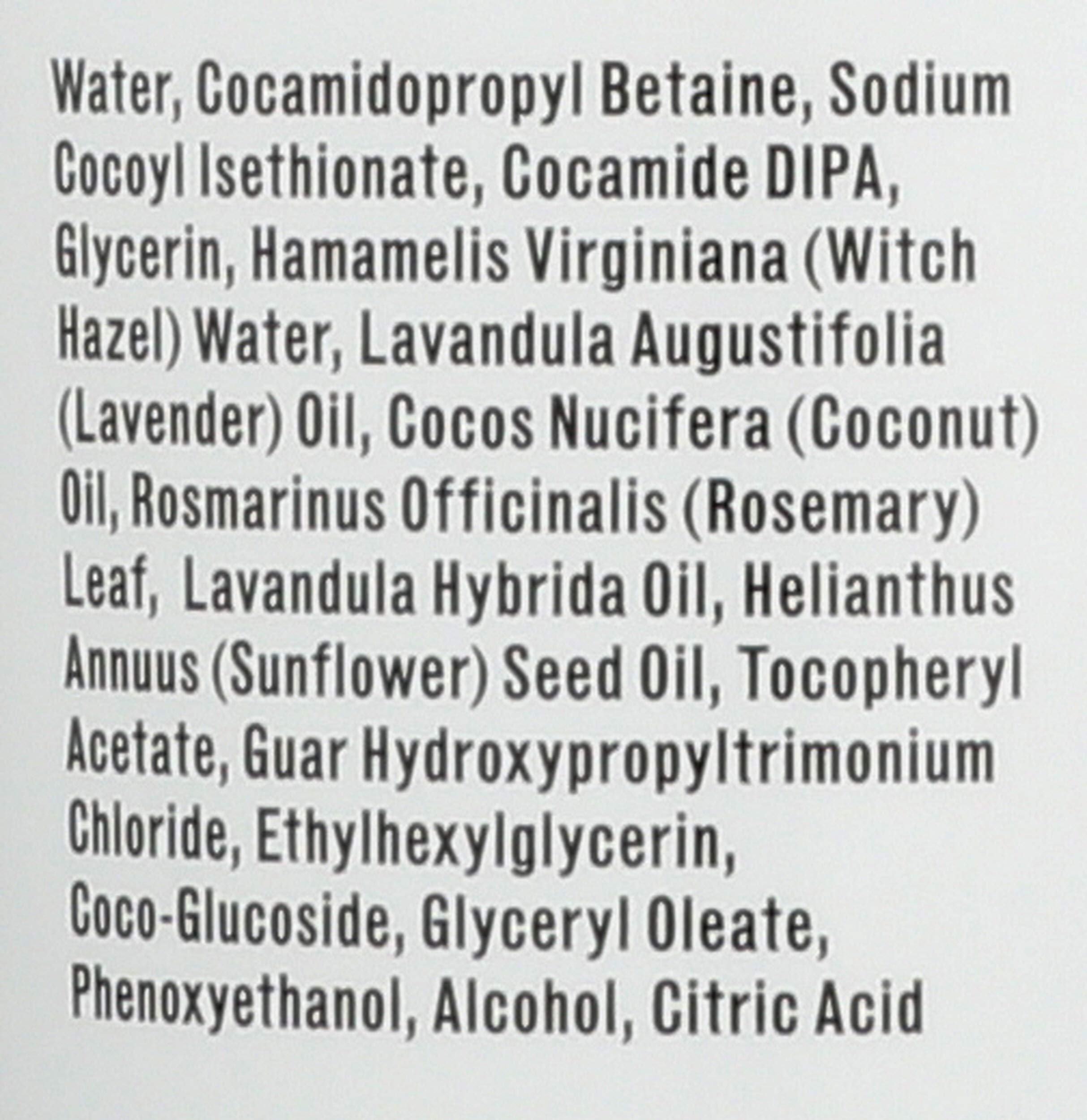 Witch Hazel Shampoo by The Grandpa Soap Company | Vegan & Cruelty Free | Witch Hazel, Lavender Flower & Coconut Oil | All Hair Types | 8 Fl. Oz. Tube