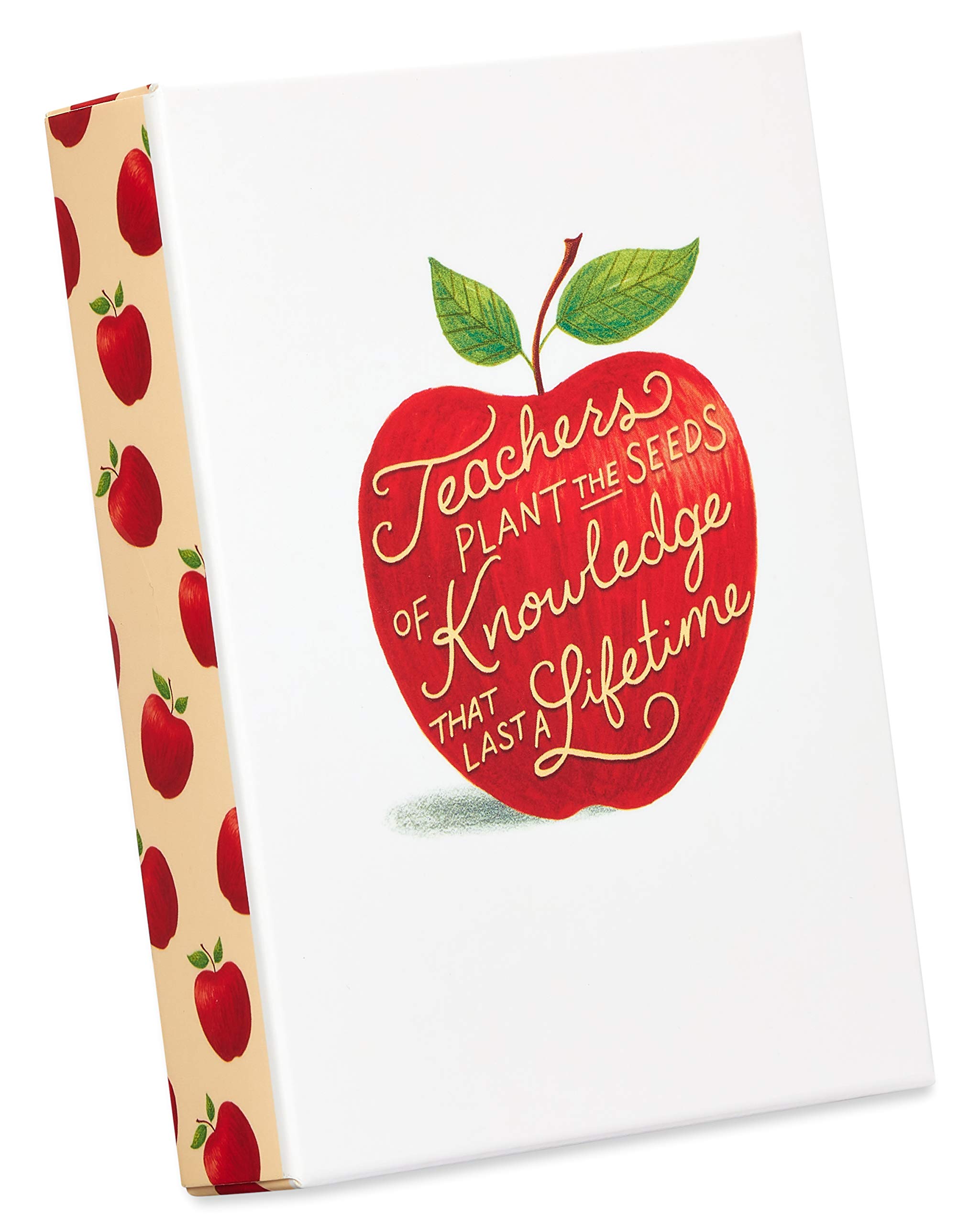 Papyrus Blank Cards with Envelopes, Apple for Teacher (14-Count)