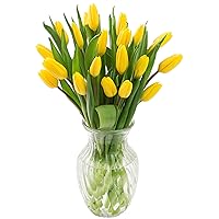 KaBloom PRIME NEXT DAY DELIVERY - Bouquet of 20 Yellow Tulips with Vase .Gift for Birthday, Sympathy, Anniversary, Get Well, Thank You, Valentine, Mother’s Day Fresh Flowers