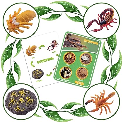 DQstar Life Cycle Figures of Praying Mantis, Ladybug, Snails, Scorpion, Crocodile, Snake, Science Toys kit, Animal Figures for Kids Age 3-12