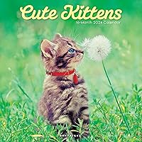 Graphique 2024 Cute Kittens Wall Calendar | 12” x 12” | Thick Paper | Home & Office Organizer | Large Monthly Grid | 3 Languages & Marked Holidays | 4 Month Preview Page for 2025