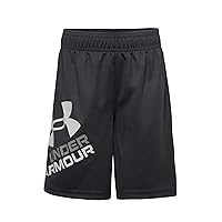 Under Armour Boy's Prototype Logo Shorts (Little Kids/Big Kids)