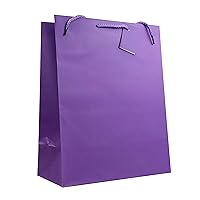 allgala 12PK Value Premium Solid Color Paper Gift Bags (13