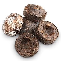 Jinglong Tea Factory - Puerh Tea Mini Tea Cakes (100 Pcs) Ripe Mini Tuocha (20 Ounce)