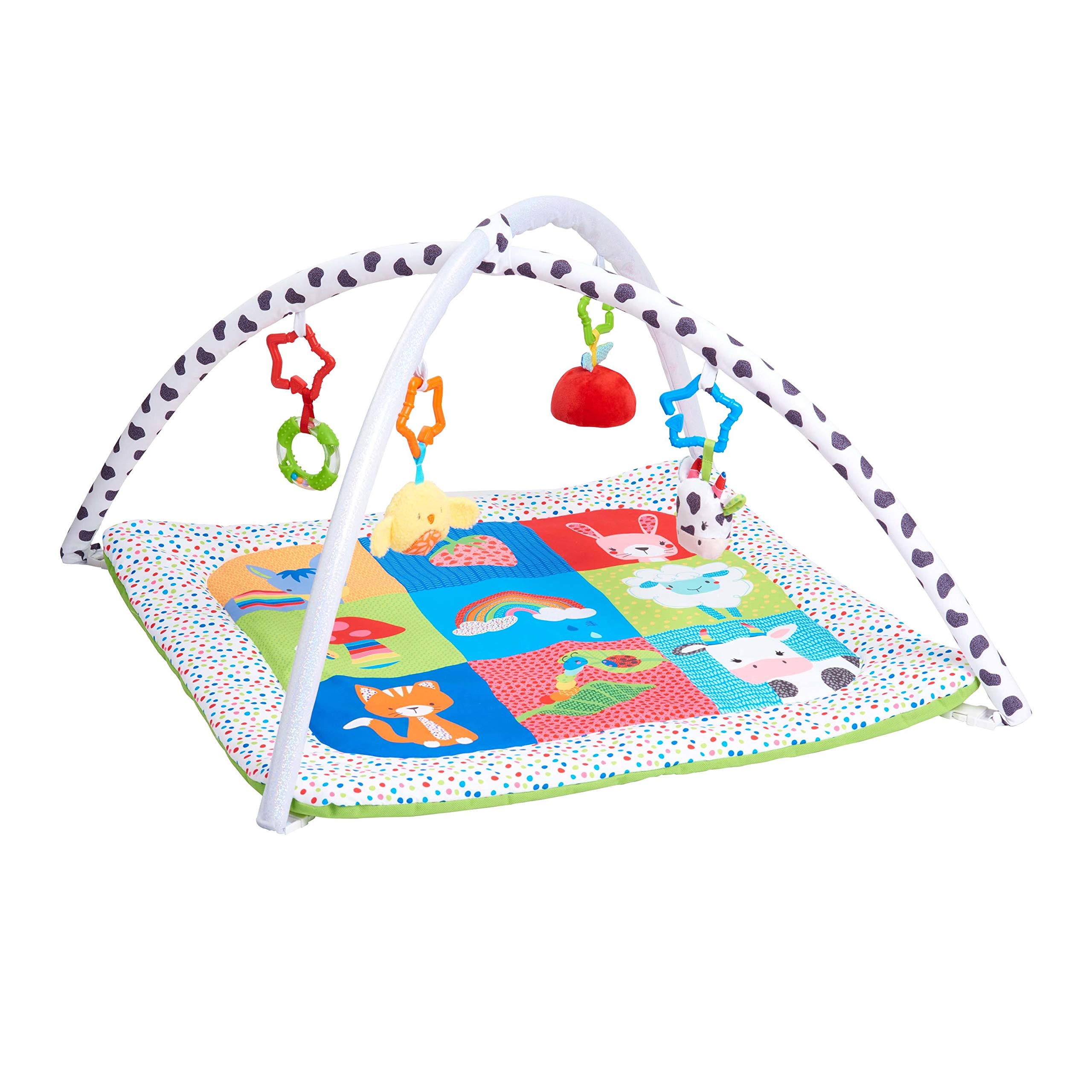 Early Learning Centre Blossom Farm Playmat & Arch, Physical Development, Hand Eye Coordination, Stimulates Senses, Baby Toys 0+ Months, Amazon Exclusive, by Just Play