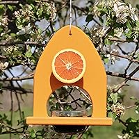 Petite Oriole Feeder, Recycle Poly Fruit and Jelly Feeder with Removable Glass Cups