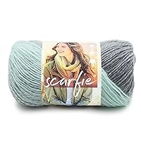 Lion Brand Yarn (1 Skein) Scarfie Bulky Yarn, Mint/Silver