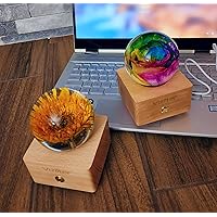 Bluetooth Speaker Flower Rainbow Rose and Sunflower Combo