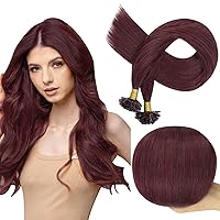 Utip Human Hair Extensions Color 99j Wine Red Fusion Hair Extensions Human Hair U tip Keratin Hair Extensions Human Hair Burgundy Prebonded Hair Extensions 50G/50S Remy Hair 18 Inch