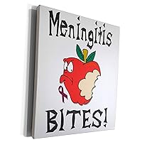 3dRose Funny Awareness Support Cause Meningitis Mean Apple - Museum Grade Canvas Wrap (cw_120569_1)
