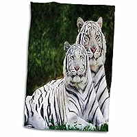 3D Rose White Tigers TWL_54187_1 Towel, 15