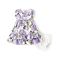 Gymboree Baby Girls' One Size Short Sleeve Dressy Special Occasion Dresses with Diaper Cover