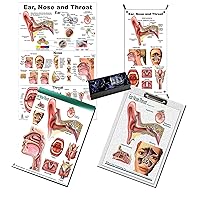 Ear Nose Throat ENT Office Set Otolaryngologist, Rhinologist, Otologist