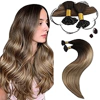 U Tip Hair Extensions Human Hair Omber Brown to #10 with Golden Blonde U Tip Hair Extensions Balayage Pre Bonded Keratin Hair Extensions U Tip 1G/1S 50G 20Inch