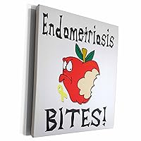 3dRose Funny Awareness Support Cause Endometriosis Mean... - Museum Grade Canvas Wrap (cw_120524_1)