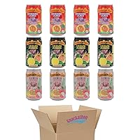 Hawaiian Sun Drinks, LiliKoi Variety, 4 Cans per Flavor, Pack of 12