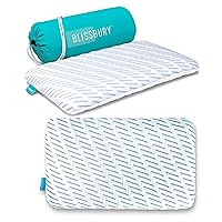 BLISSBURY 2.6 Inch Cooling Ultra Thin Stomach Sleeping Pillow & Additional Pillow Case in Cooling (White), Ice Yarn