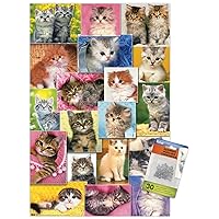 Keith Kimberlin - Kittens Collage Wall Poster with Push Pins