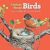 Curious About Birds (Discovering Nature)
