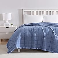 Beatrice Home Fashions Down Alternative Solid Color Blanket, Twin, Medium Blue