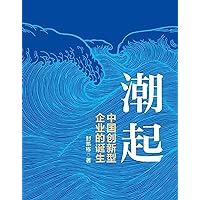 潮起：中国创新型企业的诞生 (Chinese Edition)