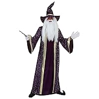 Adult Purple Wizard Costume for Men, Magic Sorcerer Halloween Outfit, Warlock Outfit for Parties