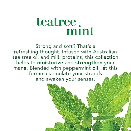 OGX Extra Strength Refreshing + Invigorating Teatree Mint Dry Scalp Treatment with Witch Hazel Astringent to Help Remove Scalp Buildup, Paraben-Free, Sulfate Surfactant-Free, 4 fl oz