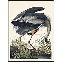 Heron Print, Antique Bird Painting, Vintage Drawing Poster Wall Art Decor, Great Blue Heron, Bird Lover Gift, Bird Lover Gifts | C320 24x36