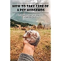How To Take Care Of A Pet Hedgehog_ A Complete Guide For Beginner Hedgehog Owners: Hedgehog Pet