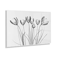 Crocus X Ray Floral Floating Acrylic Art by The Creative Bunch Studio, 23x31, Decorative Flower Art Print for Wall