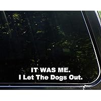 IT was ME. I Let The Dogs Out. - 8-3/4