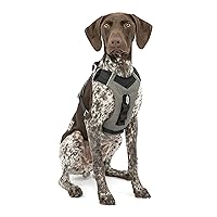 Kurgo Dog Harness for Large, & Small Active Dogs, Pet Hiking Harness for Running & Walking, Everyday Harnesses for Pets, Reflective, Journey Air (Black, Medium), Black/Gray (K01944)