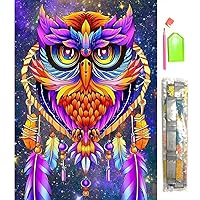 DIY 5D Diamond Painting Kits Round Full Drills Crystal Rhinestone Arts Craft for Home Wall Decor(11.8x15.7inch, Colorful Owl)
