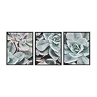 Sylvie Botanical Succulent Plants Framed Canvas Wall Art Set by The Creative Bunch Studio, Set of 3, 18x24 Black, Chic Botanical Art for Wall