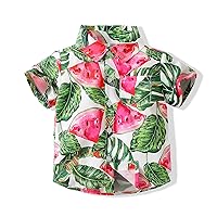 Baby Boys Casual Hawaiian Shirts Cotton Print Button Down Short Sleeve Shirt for Holiday