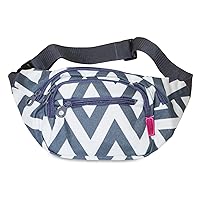 Chevron Fanny Pack