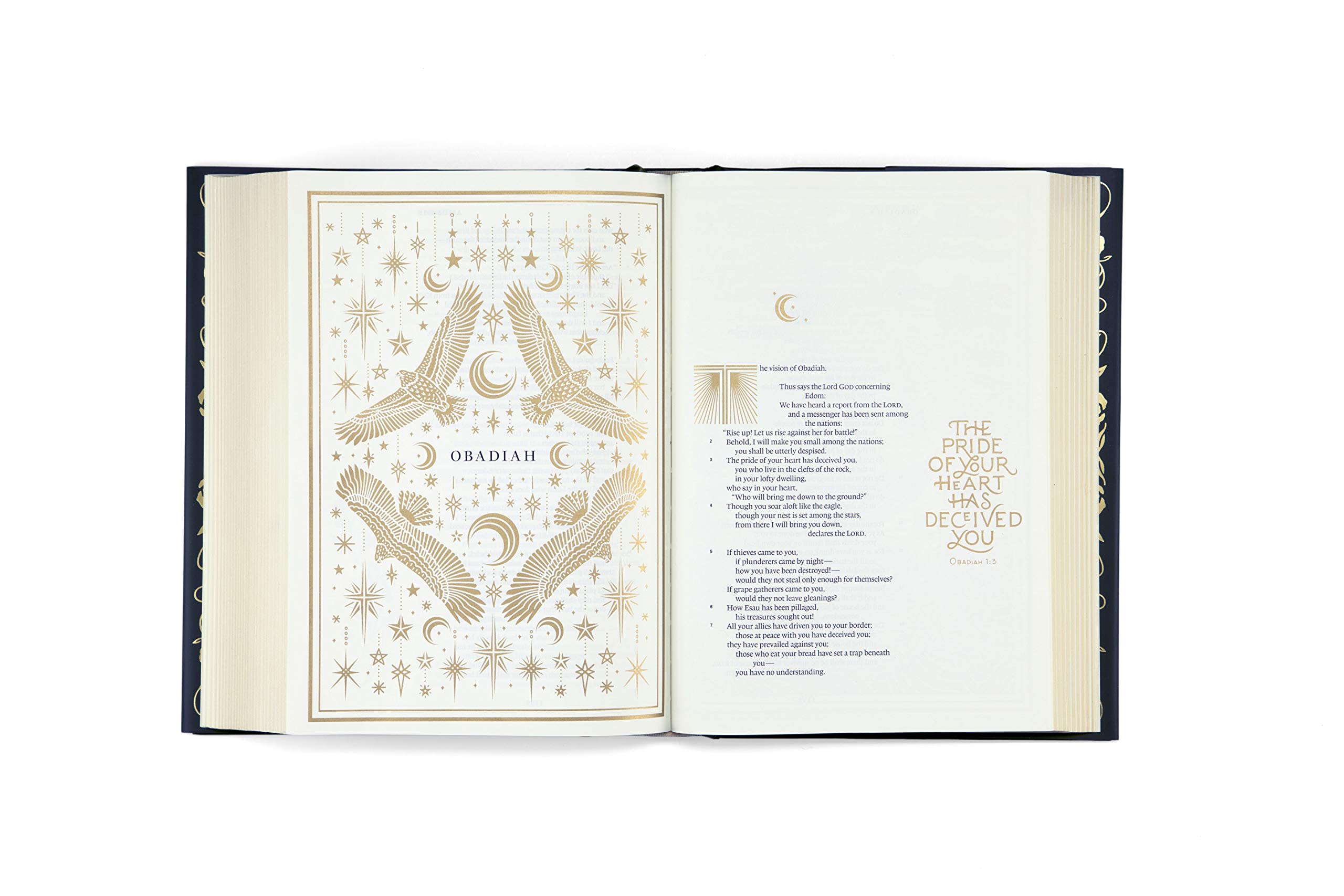 ESV Illuminated Bible, Art Journaling Edition (Cloth over Board, Navy)