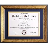 8.5x11 Diploma Frame Gold, 8.5 x 11 Certificate Frame with Mat or 11x14 College Degree Frames without Mat, Wall or Tabletop Display, Tempered glass (Navy Gold Double Mat)