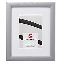 Craig Frames 23247018 14 x 20 Inch Brushed Silver Picture Frame Matted to Display a 11 x 17 Inch Photo