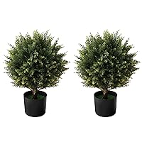 Boxwood Artificial Cedar Topiary Ball Trees – Decorative Fake Greenery in Planter Pots for Front Porch, Outdoor Walkway, Entryway Decorating, Set of 2