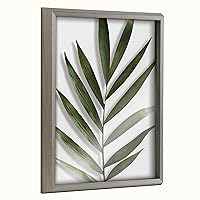 Blake Botanical 5F Framed Printed Glass Wall Art by Amy Peterson Art Studio, 16 20 Gray, Decorative Plant Art for Wall