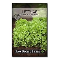Sow Right Seeds - Salad Bowl Green Leaf Lettuce Seeds for Planting - Non-GMO Heirloom Packet with Instructions to Plant a Home Vegetable Garden - Outdoors or Hydroponics Indoors - Frilly Leaves (1)