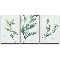 wall26 Canvas Print Wall Art Set Watercolor Retro Green Herb Collage Nature Floral Illustrations Realism Rustic Scenic Colorful Wilderness for Living Room, Bedroom, Office - 16