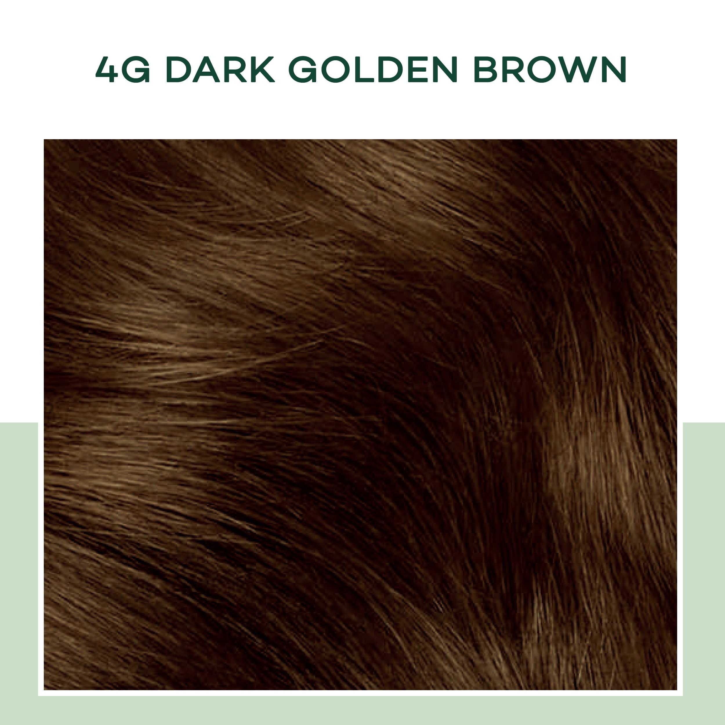 Buy Clairol Natural Instincts Demi-Permanent Hair Dye, 4G Dark Golden ...
